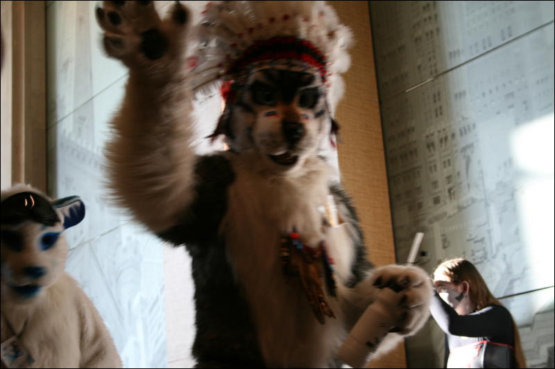 [StuntTiger_MFF2009_201.jpg]