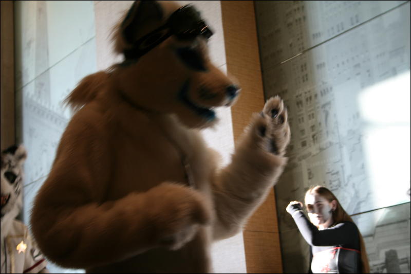 [StuntTiger_MFF2009_202.jpg]