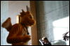 [StuntTiger MFF2009 204]