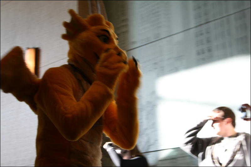 [StuntTiger_MFF2009_205.jpg]