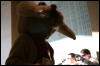 [StuntTiger MFF2009 207]