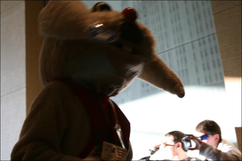 [StuntTiger_MFF2009_207.jpg]