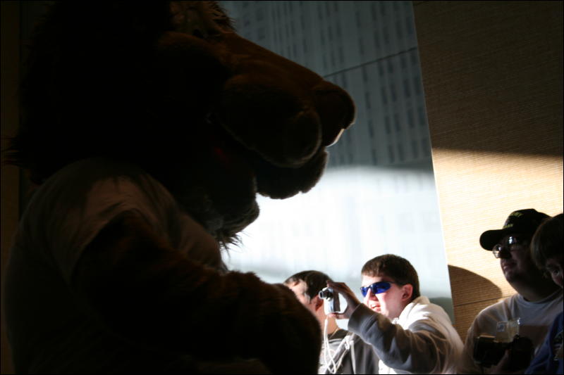 [StuntTiger_MFF2009_208.jpg]