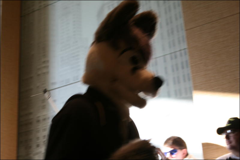 [StuntTiger_MFF2009_211.jpg]