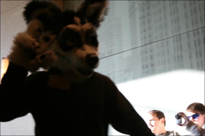 [StuntTiger_MFF2009_212.jpg]