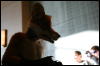 [StuntTiger MFF2009 213]