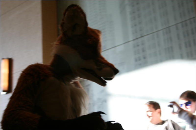 [StuntTiger_MFF2009_213.jpg]