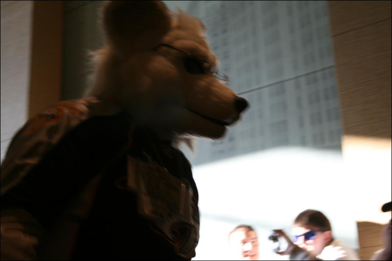 [StuntTiger_MFF2009_214.jpg]