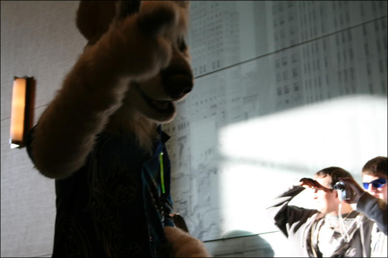 [StuntTiger_MFF2009_215.jpg]