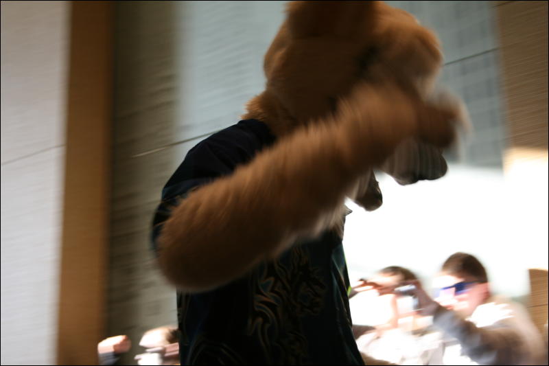 [StuntTiger_MFF2009_216.jpg]