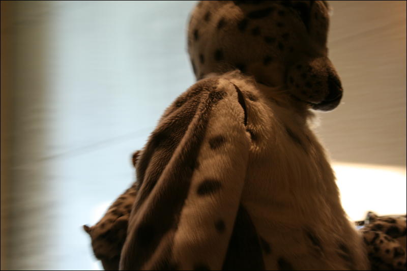 [StuntTiger_MFF2009_217.jpg]