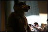 [StuntTiger MFF2009 218]