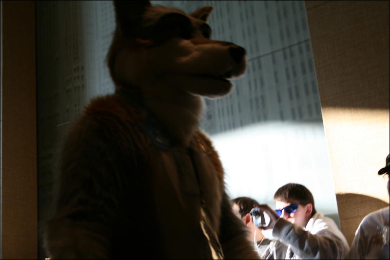 [StuntTiger_MFF2009_218.jpg]