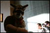 [StuntTiger MFF2009 219]