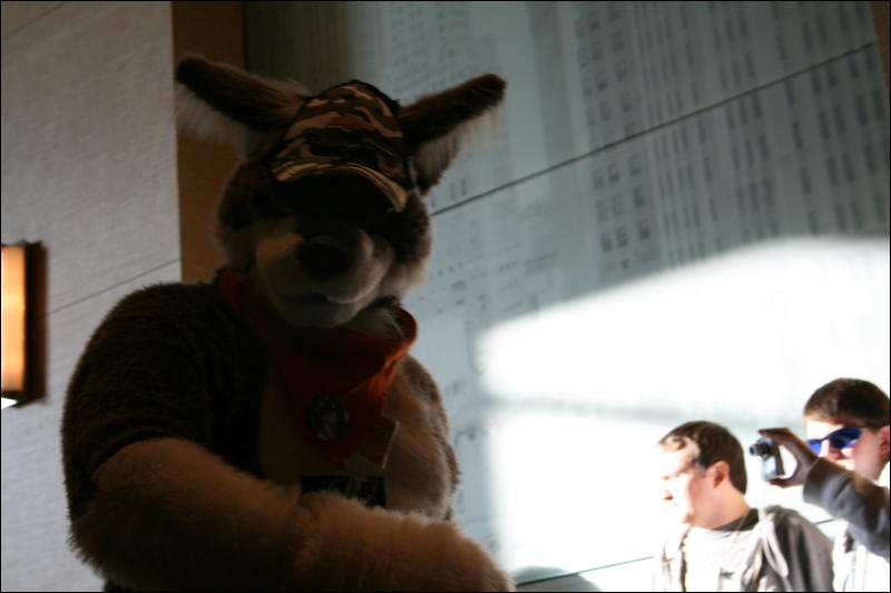 [StuntTiger_MFF2009_219.jpg]