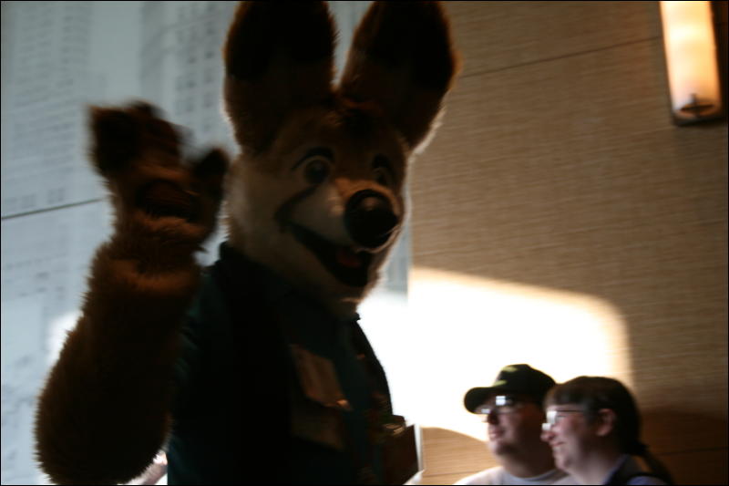 [StuntTiger_MFF2009_221.jpg]