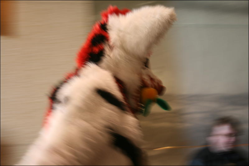 [StuntTiger_MFF2009_223.jpg]