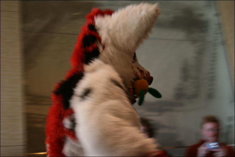 [StuntTiger_MFF2009_224.jpg]