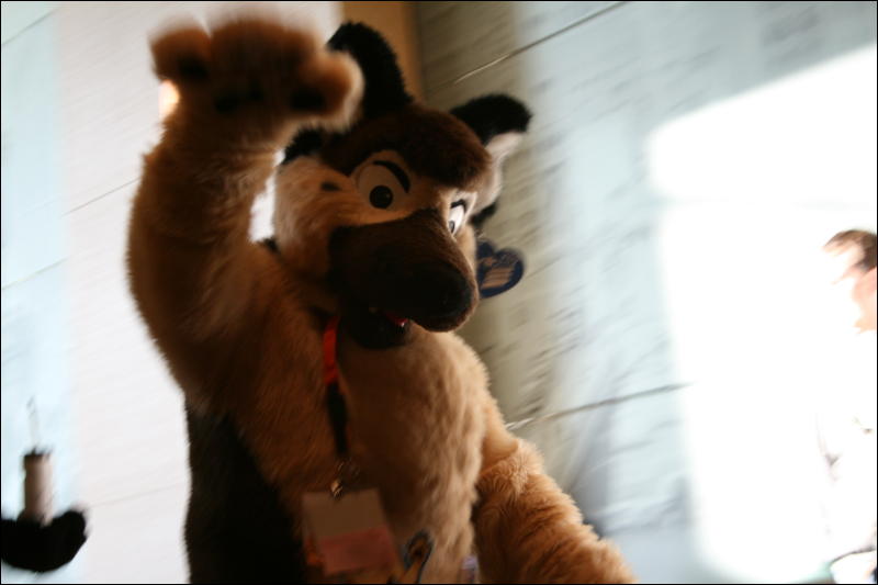 [StuntTiger_MFF2009_226.jpg]