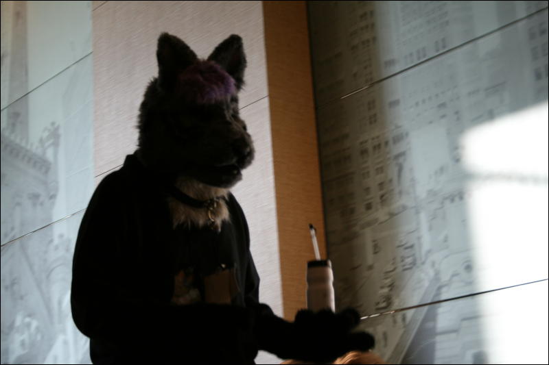 [StuntTiger_MFF2009_227.jpg]