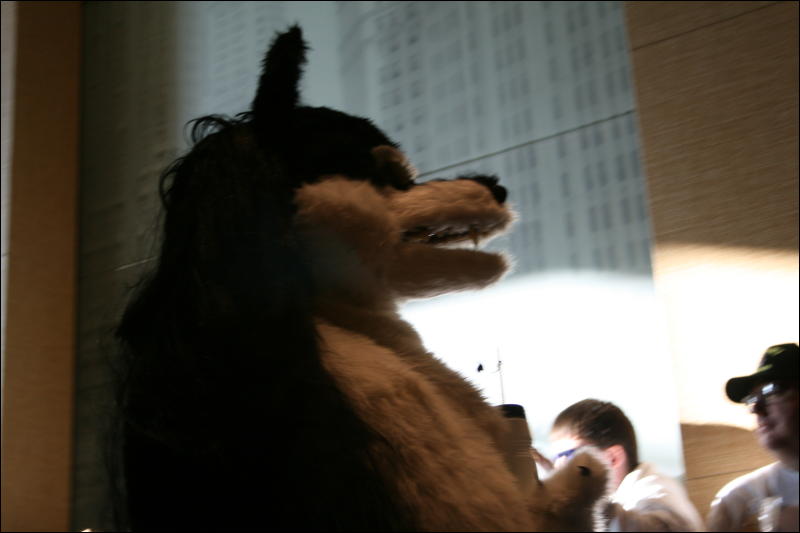 [StuntTiger_MFF2009_230.jpg]