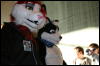 [StuntTiger MFF2009 231]