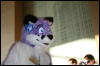 [StuntTiger MFF2009 232]