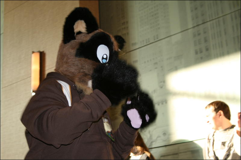 [StuntTiger_MFF2009_234.jpg]