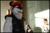 [StuntTiger MFF2009 235]