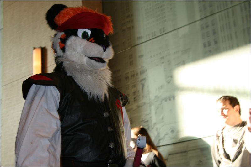 [StuntTiger_MFF2009_235.jpg]