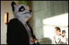 [StuntTiger MFF2009 236]