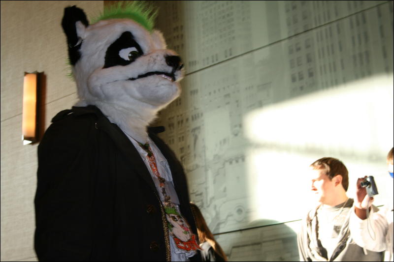 [StuntTiger_MFF2009_236.jpg]