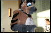 [StuntTiger MFF2009 238]