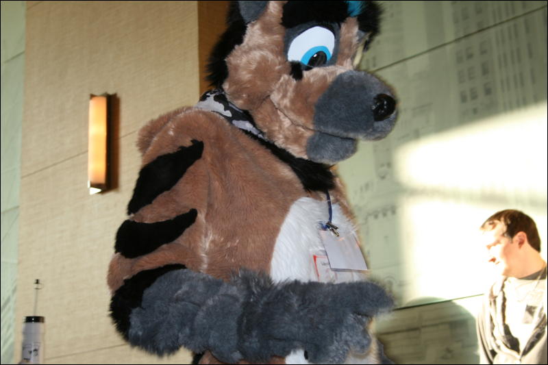 [StuntTiger_MFF2009_238.jpg]