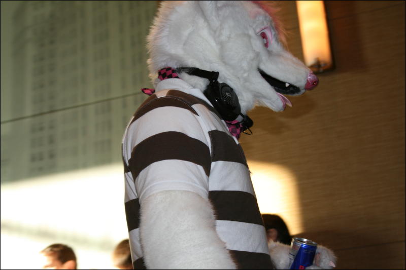 [StuntTiger_MFF2009_241.jpg]