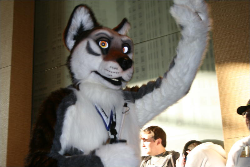 [StuntTiger_MFF2009_242.jpg]