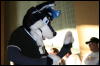 [StuntTiger MFF2009 243]