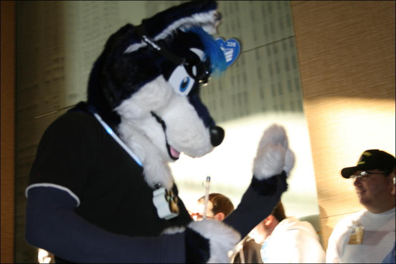 [StuntTiger_MFF2009_243.jpg]