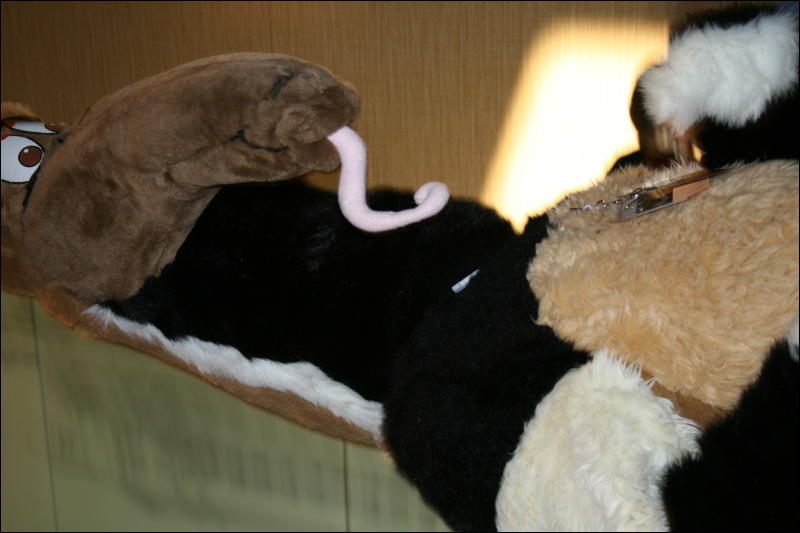 [StuntTiger_MFF2009_244.jpg]