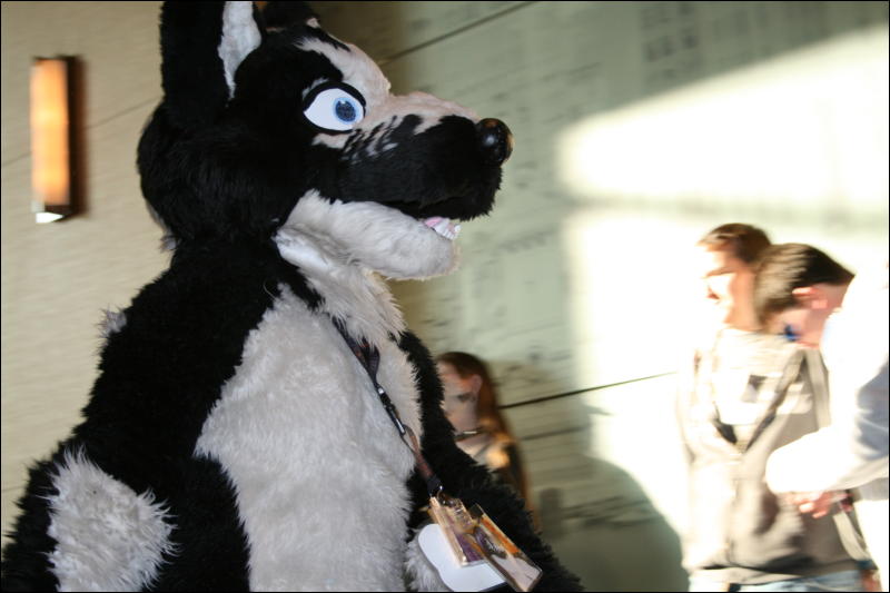 [StuntTiger_MFF2009_246.jpg]