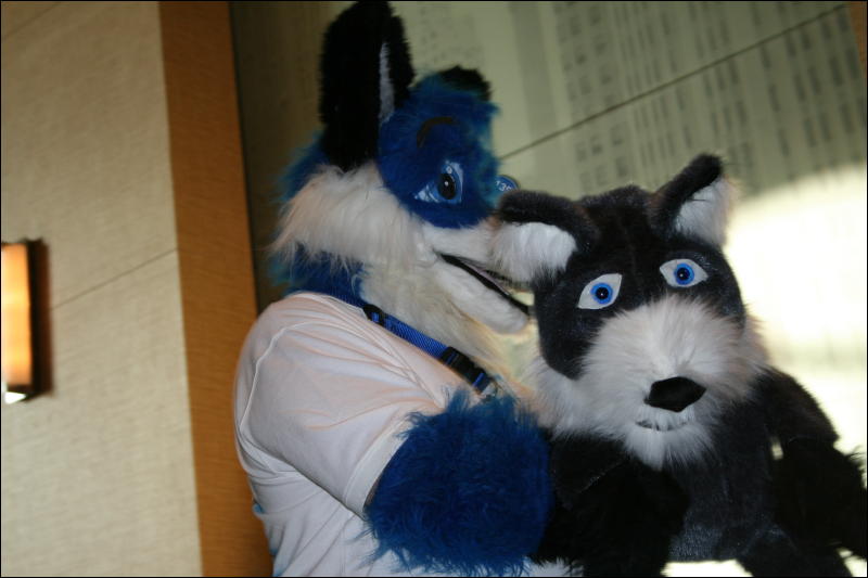 [StuntTiger_MFF2009_249.jpg]