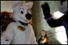 [StuntTiger MFF2009 250]