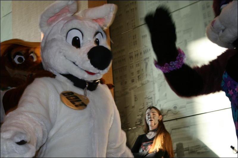 [StuntTiger_MFF2009_250.jpg]