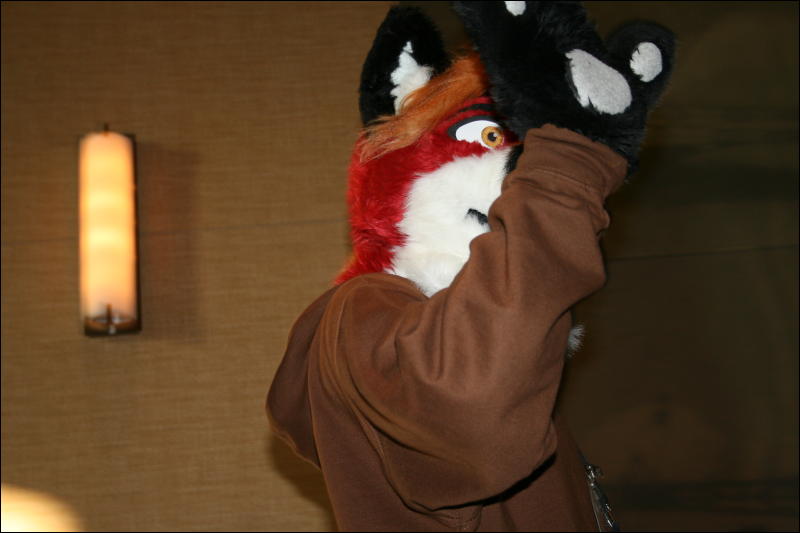 [StuntTiger_MFF2009_251.jpg]