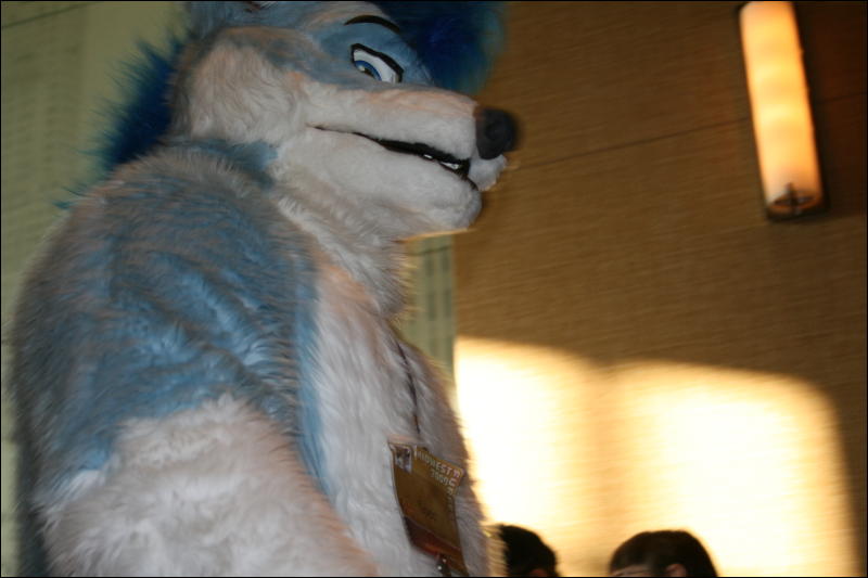 [StuntTiger_MFF2009_254.jpg]