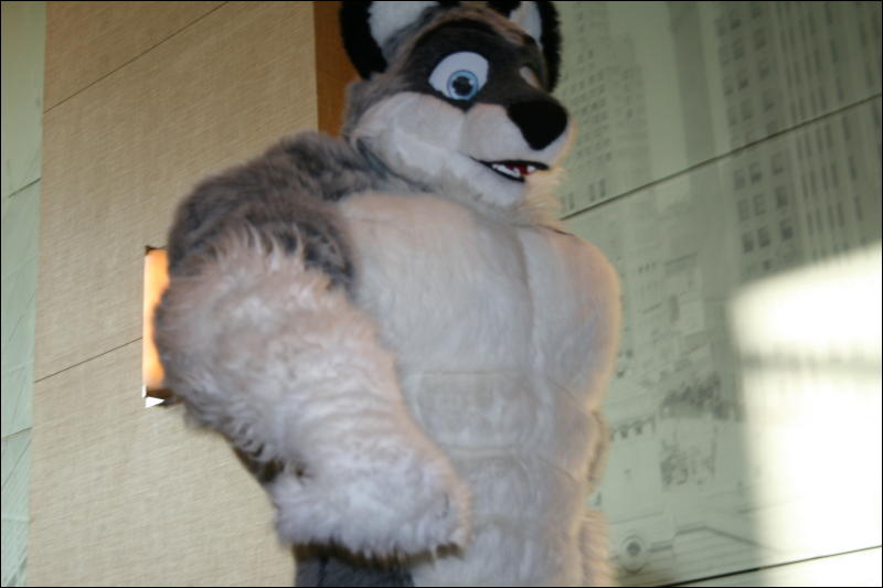 [StuntTiger_MFF2009_255.jpg]