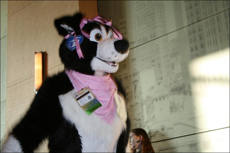 [StuntTiger_MFF2009_256.jpg]