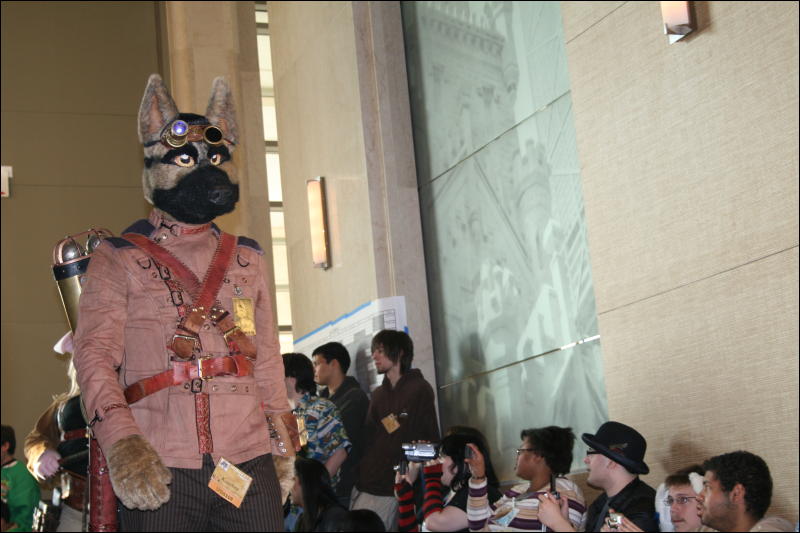 [StuntTiger_MFF2009_257.jpg]