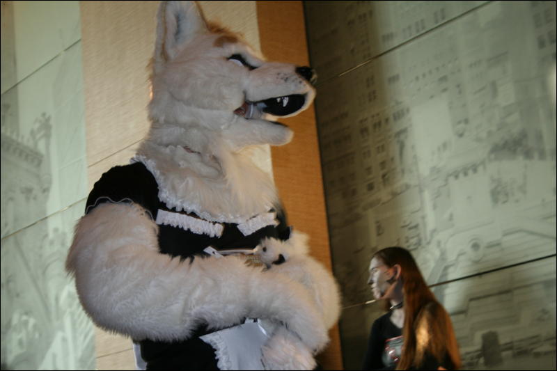 [StuntTiger_MFF2009_259.jpg]