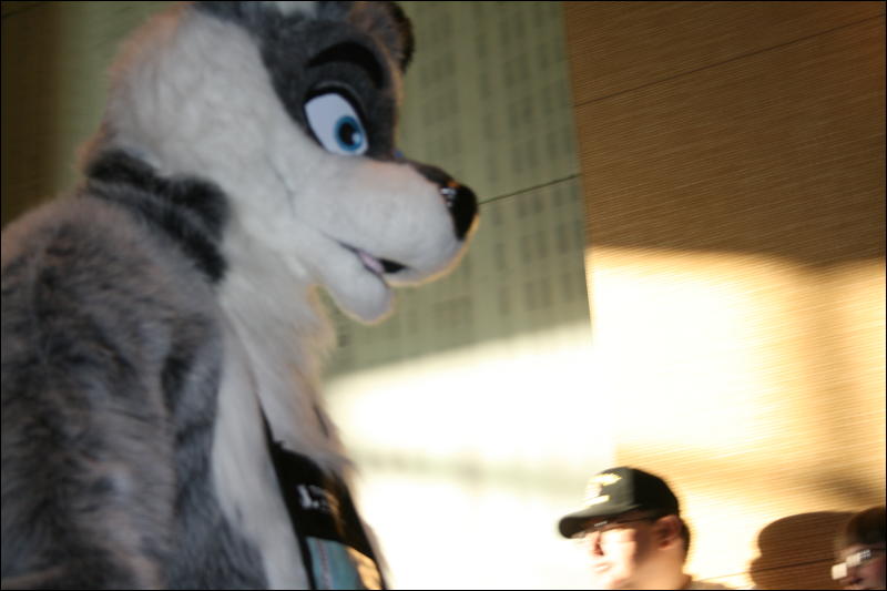 [StuntTiger_MFF2009_260.jpg]